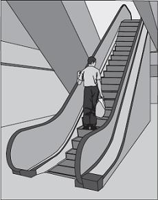 (c) A shop uses escalators to lift customers to different floor levels. The escalators use electric motors.