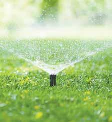 WATERING Keep the soil moist at all times while the seed is germinating. Especially in the first five days it may be necessary to water for short periods several times a day if it is hot and dry.