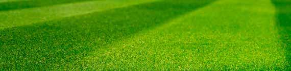 14 CURATOR ATTRIBUTES CHART SPORTSFIELD HARDWEARING SUN & SHADE TURF BLEND PARKS BLEND Contains 10% starter fertiliser no yes yes yes yes Establishment speed fast very fast medium/fast medium