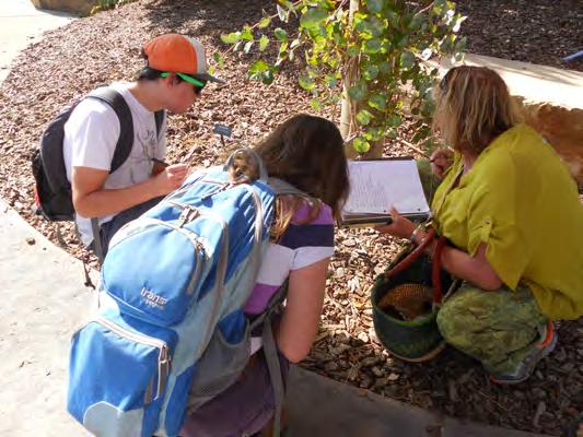Students had a chance to use their identification skills, observe plants in their native habitats, and get a feel for the ecological setting in which the plants live.