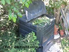 Composting bins Expensive Limited capacity Can be