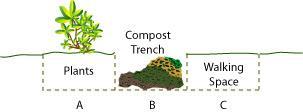 Depending on soil temperature, the supply of microorganisms in the
