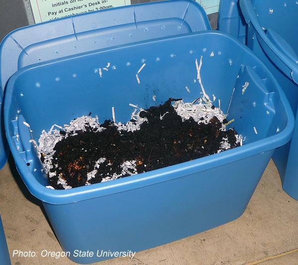 Illustrated worm composting Air holes