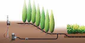 hedge. The 13 mm (1/2") drip line is suitable for longer hedges, while you ll need the 4.6 mm (3/16") drip line if your hedge is smaller (up to 15 m).