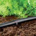 for hedges and planted borders. A drip head is pre-installed every 30 cm (delivery quantity 4 l/hr), the maximum pipe length is 100 m with a centrally installed master unit.
