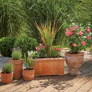 Plant pots on patios and balconies Patio and balcony plants can be ideally watered using drip heads.