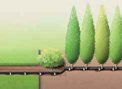 Above Ground Drip Irrigation Line for hedges Above-ground drip irrigation line for small hedges Underground drip line for hedges or borders 4 l/h per drip head 1,5 l/h per drip head 1,6 l/h per drip