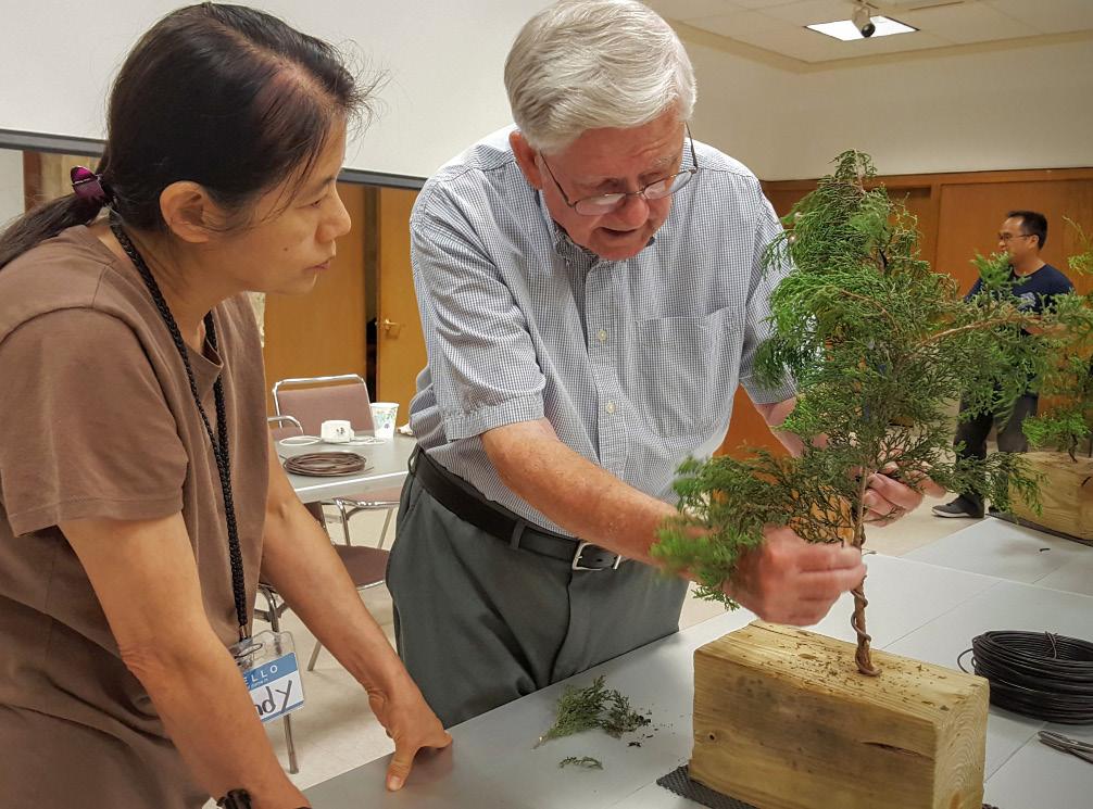 He has apprenticed at Fujikawa Kouka-en nursery in Ikeda City, Japan for 2 years under Keiichi Fujikawa, and is the founder of Bonsai Unearthed Nursery, and blog, in Nashville, TN.