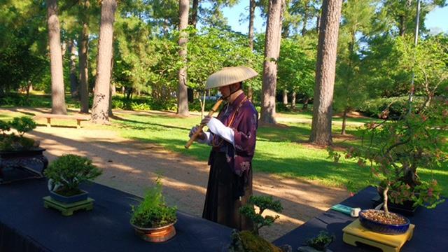 Make the Cut Dallas Exhibit HBS Spring Show at Japan Fest in Hermann Park A mysterious Japanese musician praised the bonsai with his melodious flute (Photo: Ken Cousino) The next meeting of the