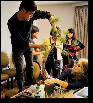 in the bonsai spirit, the room was always filled with
