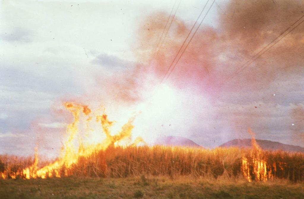 A flashover - triggered by hot air plasma from intense fires that causes an electrical