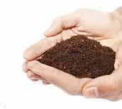 If the soil falls apart when you open your hand, you have sandy soil. If the soil stays together when you open your hand but then starts to slowly fall apart, you have loamy soil.