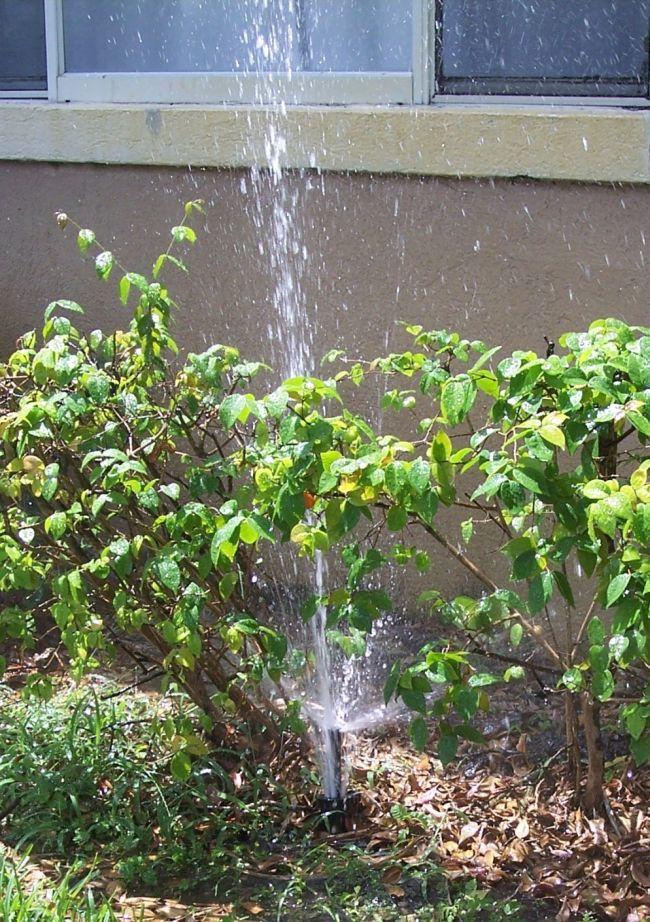 For leaking valves, a local irrigation contractor can assist with the repair. More information on irrigation valves is provided in CIR825: Irrigation of Lawns and Gardens http://edis.ifas.ufl.