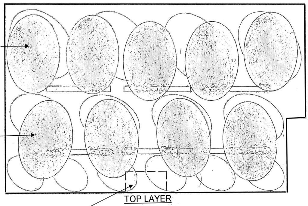 LAYOUT FOR SIMULATED PEBBLES Due to the many pan sizes and shapes there is not an exact pattern and these layouts are intended as a guide to illustrate the general principles.