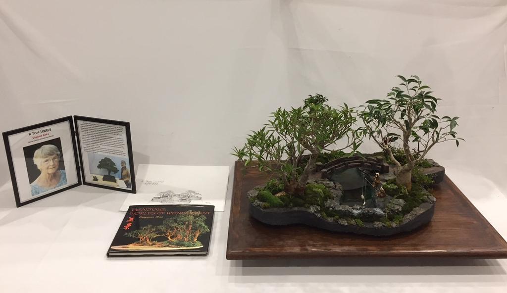 PAGE 4 UPCOMING CLASSES AT WIGERTS BONSAI NURSERY REFINING YOUR BONSAI TREES Instructor Jason Osborne will help you refine your "mature bonsai" tree Fee : $40 bring your own tree that you have been