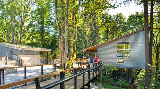 bluff-side cabins, and plenty of space for hiking, fishing, birding, and boating.