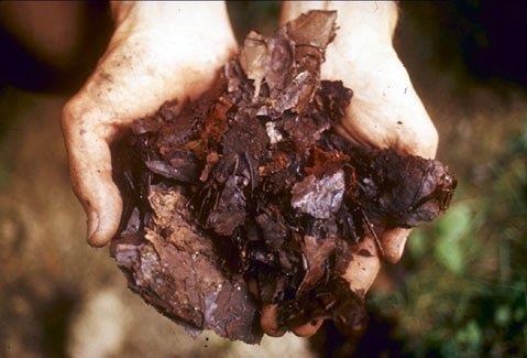 Adding organic matter such as compost to soil improves its waterholding capacity.