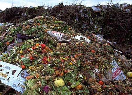 Over 60 percent of what we put in our landfills is organic waste, such as food