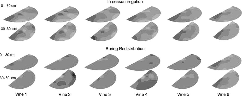Fig. 2. Vine-to-vine variability for soil moisture around six sample vines in vineyard 2 at two sampling intervals.
