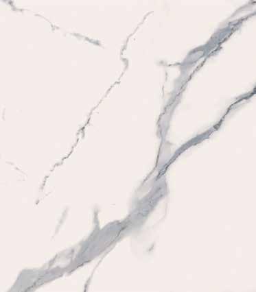STONE LOOK PORCELAIN calacata carrara statuary Left: White Marble Porcelain Collection calacata 4in x 16in on walls, 2in Hex Mosaic on shower pan, and 12in x 24in on floor WHITE MARBLE PORCELAIN