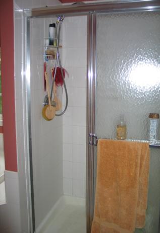 The Shower Definitely Needed Help Before-Old and Tired After-A Luxurious, Clutter Free Shower!