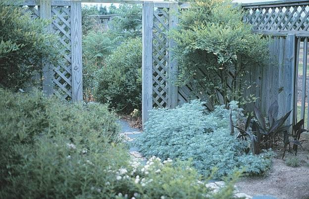 An arbor might be just what your garden
