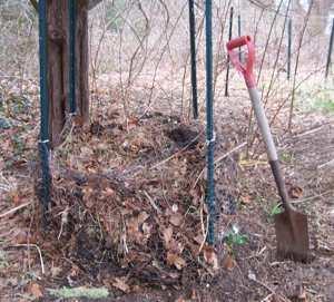 LOCATION, LOCATION, LOCATION You will want to find a spot for your compost pile that is: Close enough to your house Shady Will you use it if it s