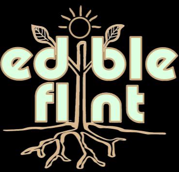 edible flint Garden Starters - seeds, transplants compost, soil testing & tilling for gardens within the City of Flint while supplies last; 810-244-8547; gardenstarters@edibleflint.