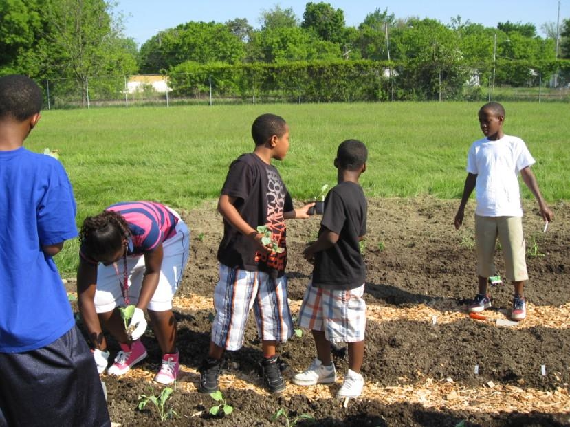 edible flint is a collaborative of residents, public and private organizations, and institutions formed in 2009 to support Flint residents in growing and accessing healthy food in order to reconnect