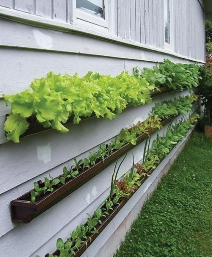 A patio, deck, balcony or doorstep can provide a space for growing herbs and veggies in containers.