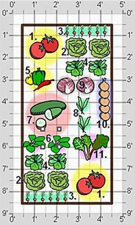 This will determine how much garden space you will need between the plants and between rows. On some seed packages this information is listed.