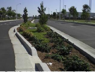 Inc.) Vegetated swale with curb cuts, Playa Vista, CA Bioretention cell for