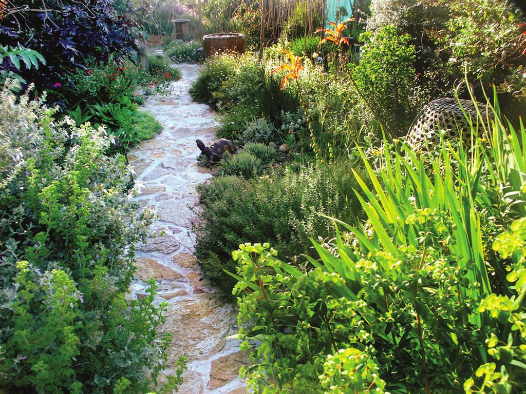 WaterSmart Landscaping & Water Reuse Guide Learn More: Here are some resources for information about creating a WaterSmart landscape: 1 DID YOU KNOW?