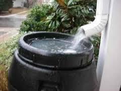 Homeowners can earn up to $500 to offset the expense of installing green infrastructure on their properties including rain barrels,