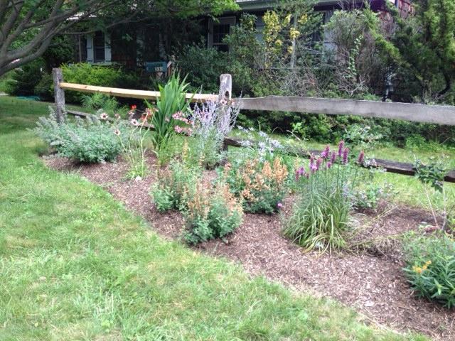 Stormwater filtered through the soil, sand and gravel within these gardens is dramatically cleaner when it enters our groundwater,