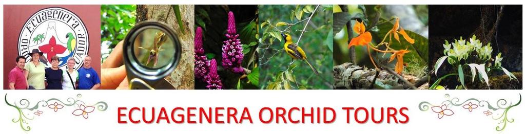 Would you like to see more than 7.000 varieties of orchids growing in the same area?