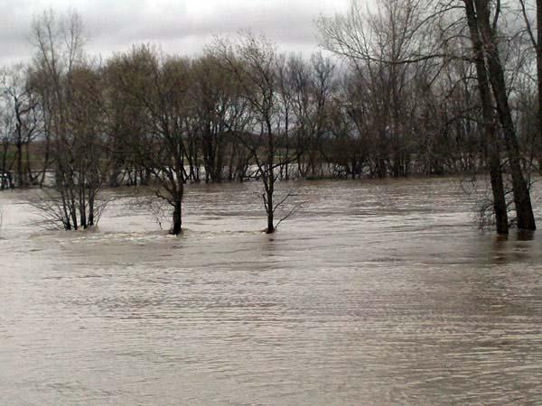 Long Plain First Nation Evacuated May 10 Due to Flood