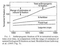 Anthropogenic Alteration to the N Cycle The main source of alteration to the N cycle derives from the application of fertilizers, which shows the most dramatic rate of increase over the last 40 years.