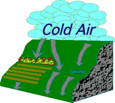 Elevation Cold air drains from the highest to the