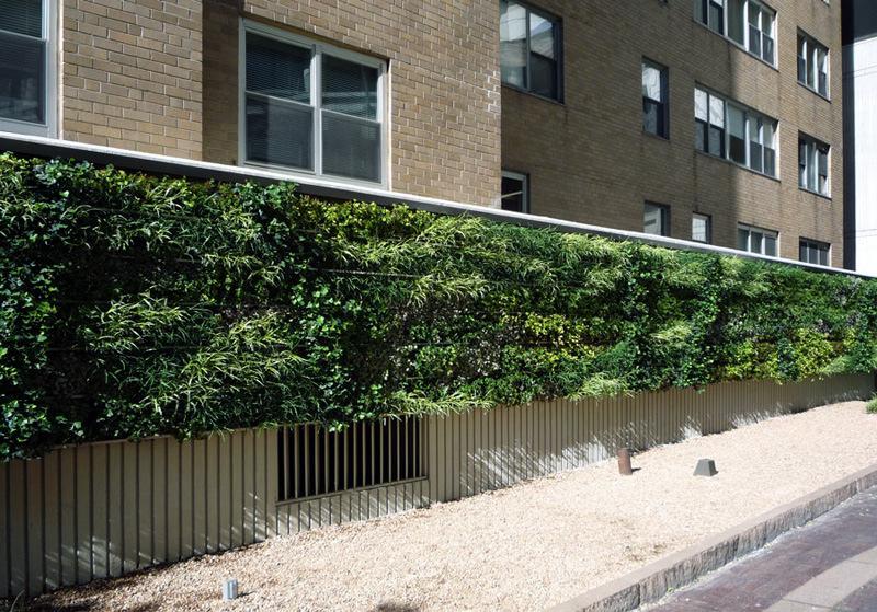 Green and play spaces Questions 1. Should food growing be encouraged in the Greater Carpenters Neighbourhood? 2. Should we encourage having more green walls and roofs and window boxes? 3.