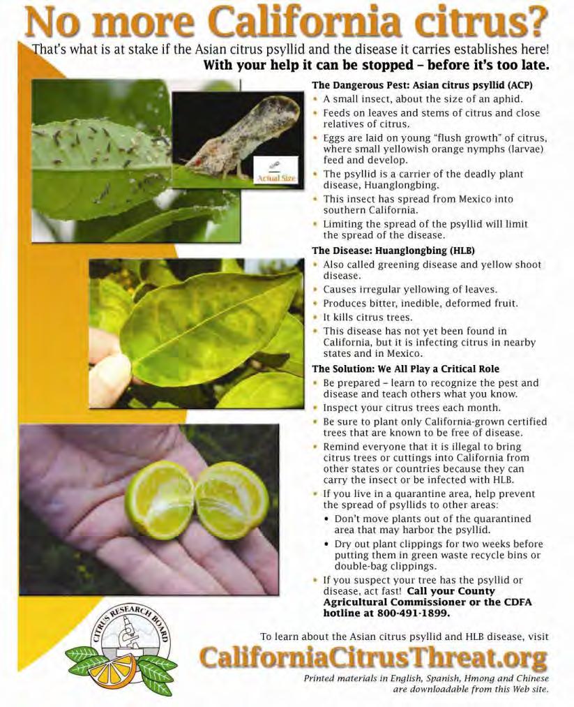 Citrus Research Board Flyer Evolving Messaging: Quarantine Area Issues green waste movement of plants