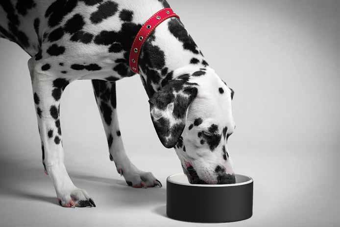 Water bowls come in two sizes, medium and large.