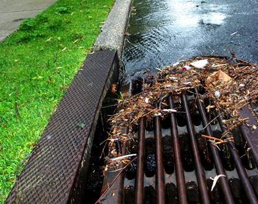 Stormwater Pollution Is