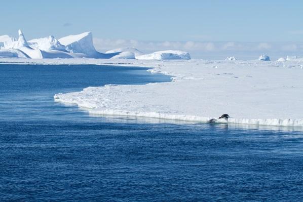 Why Measure Radon in Antarctica?