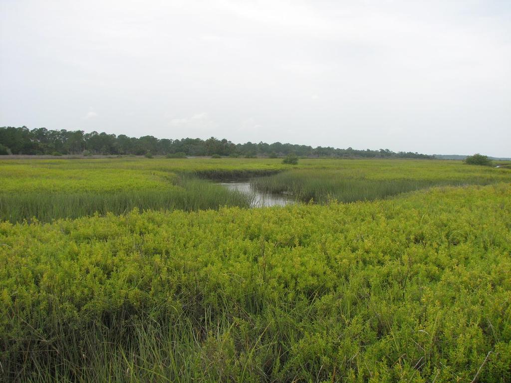 Northeast Florida Estuary Restoration Initiative: A District