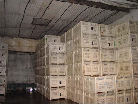 Commercial Considerations Postharvest Maturation: Ethylene degreening or ripening Curing Commercial Considerations Rapid cooling: Air