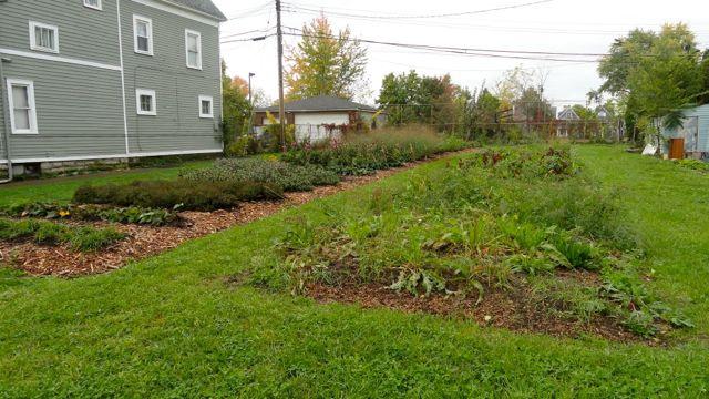 The lot also serves as a nursery for flowers and other plants to be transplanted to other vacant lots.