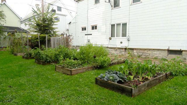 Originally, this was a clean and green lot, but a neighbor approached PUSH and asked permission to convert it to a garden. PUSH made a written agreement with her outlining responsibilities.