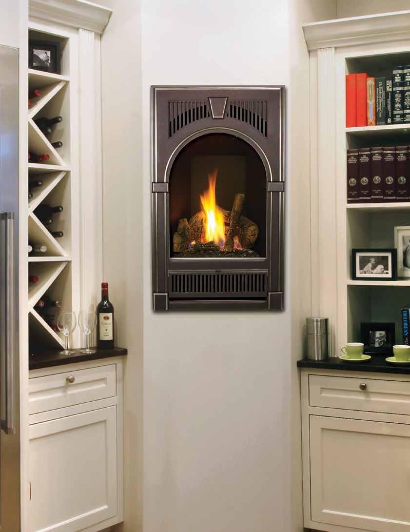 21 TRV GreenSmart Fireplace SEE VIDEO of this product