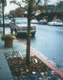 Urban trees as stormwater sponges Trees absorb about 5 gallons plus 5 gallons per inch in